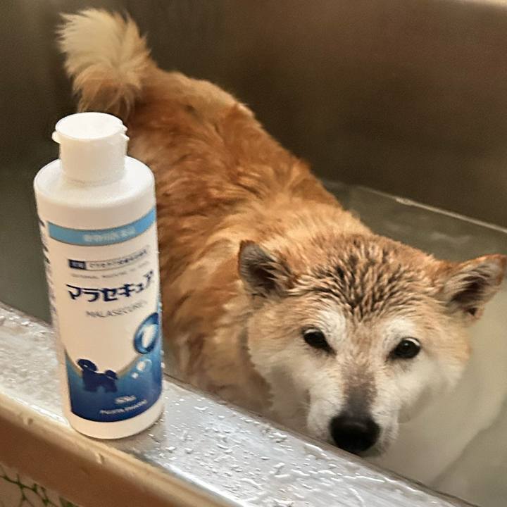 605e71a1 7474 4396 9e3d 73fee86c196d 1746168504562