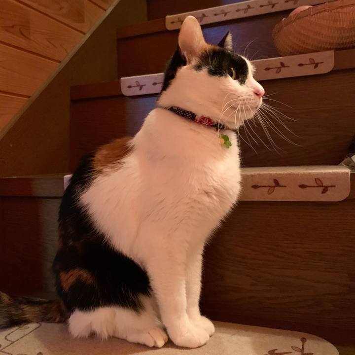 605e8376 a843 4224 a059 14d149b11ed1 1577021004151