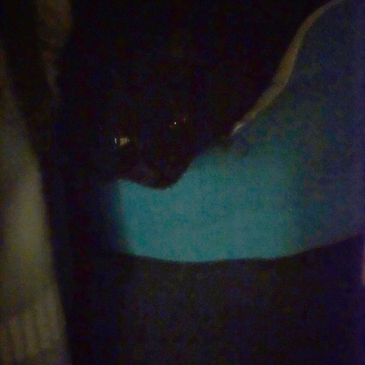 605ec819 8a14 4fd3 829e 4cebdd2764cc 1560866169740