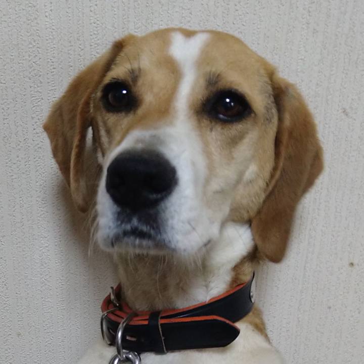 605ed1ae f397 4b59 abc0 b7eac3b754cd 1625126155164