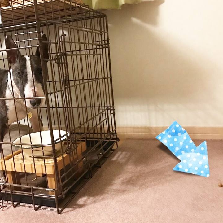 605edeb1 be5f 49f8 96e6 bcf15a2918a7 1521017364841