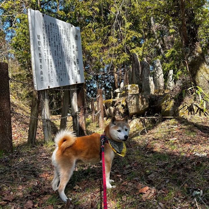 605ef427 e17c 45d1 b591 6a2ff0fff668 1772450612686