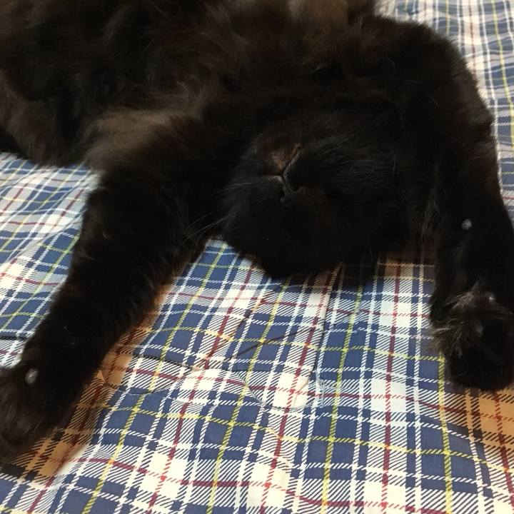 605f0c30 62ab 4da6 ad2a 7c049eace253 1515061702816