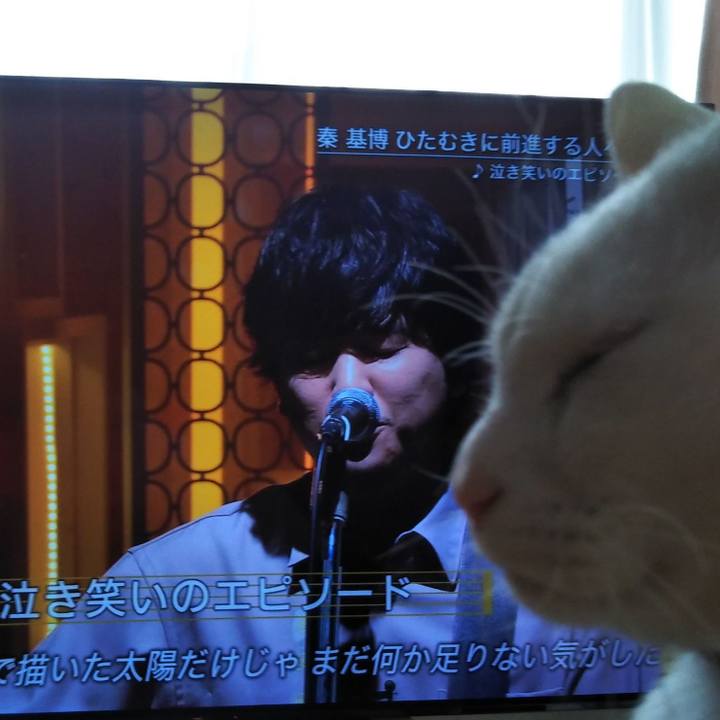 605f0ec1 0518 4db2 a5ab f20cbba81feb 1613006763372