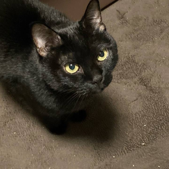 605f3484 8735 4b88 b25a 4944474f3dfb 1699867725167