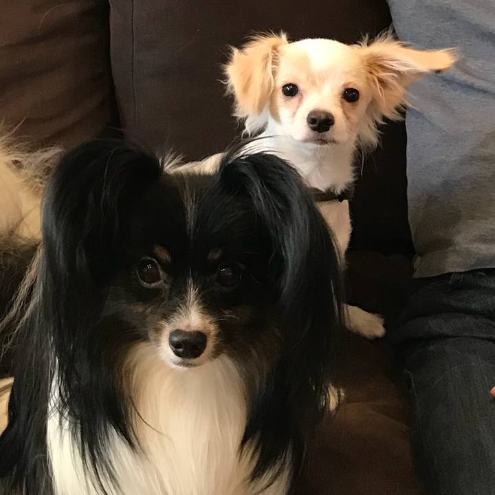 605f6d18 a949 445e a0f8 c209e22fee64 1535288295397