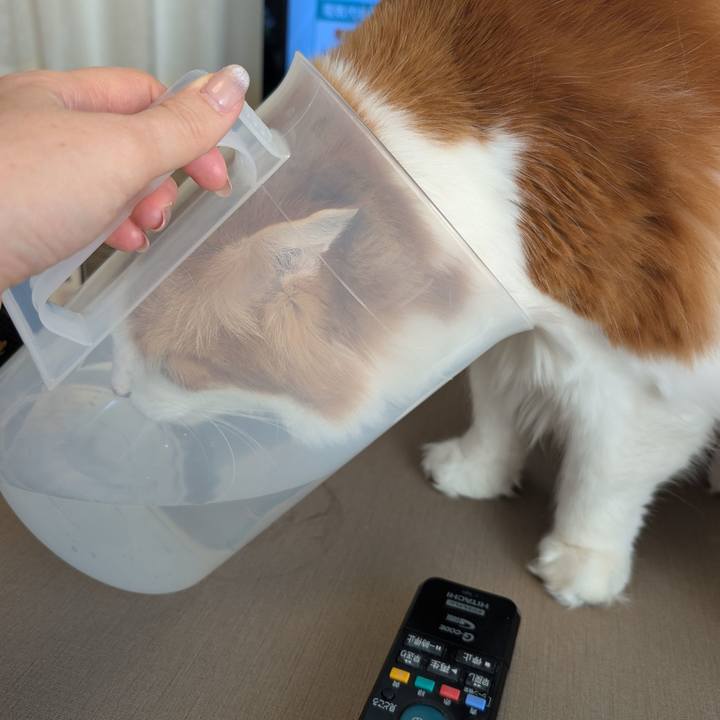 605f7cf0 6009 4d22 9b97 4e2476bfd79a 1764571000060