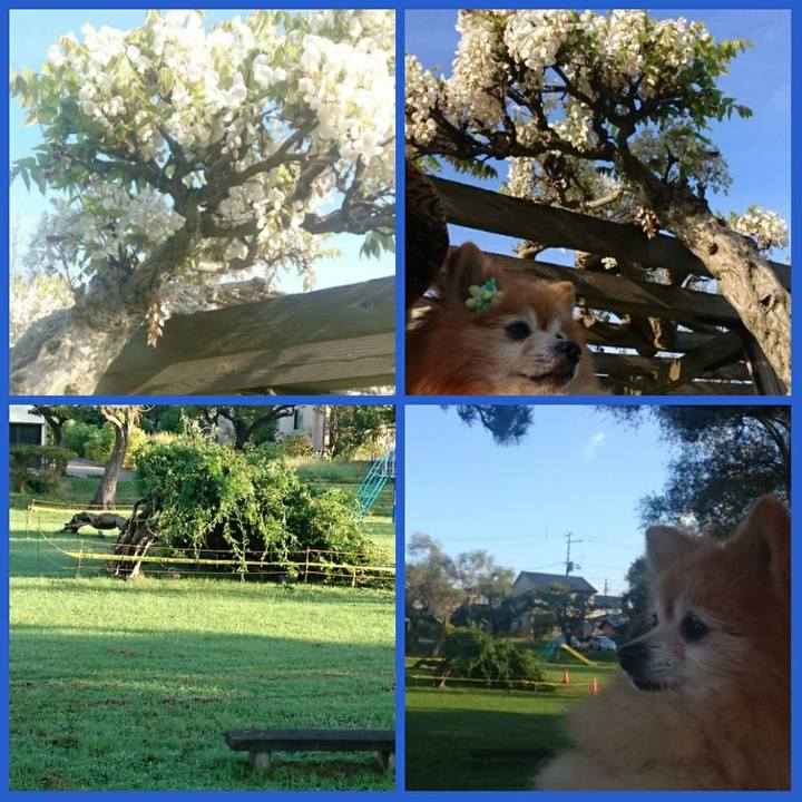 605fcce3 ae5e 4159 b5a2 68ba08c7b43d 1569365463851