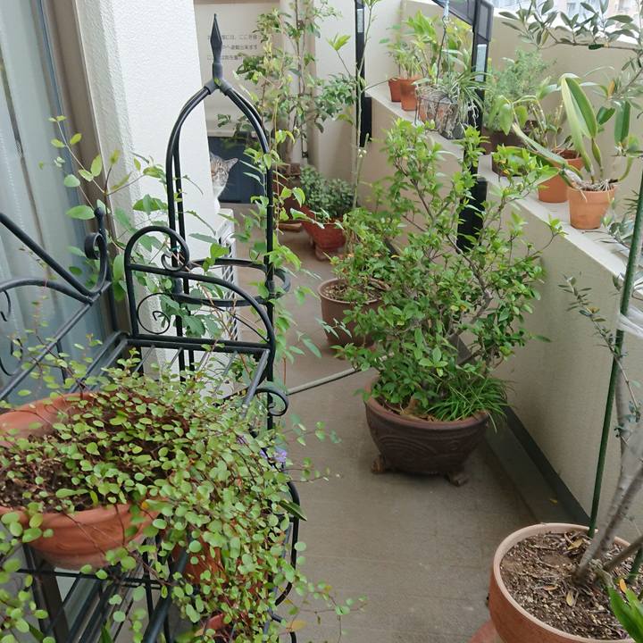 605fdb64 13d1 4755 950f 515eadca18f8 1524526731296