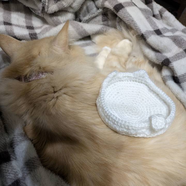 606021ba 3c1a 4553 8c1d 8a0da9400146 1769089522430