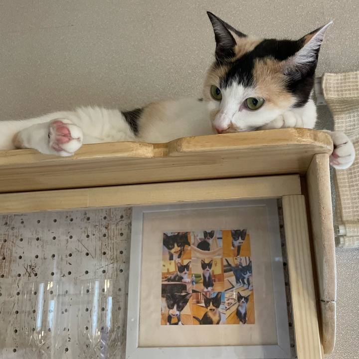 60608e7e 2b56 4ff0 ab83 cb7fdc929acb 1708301980339