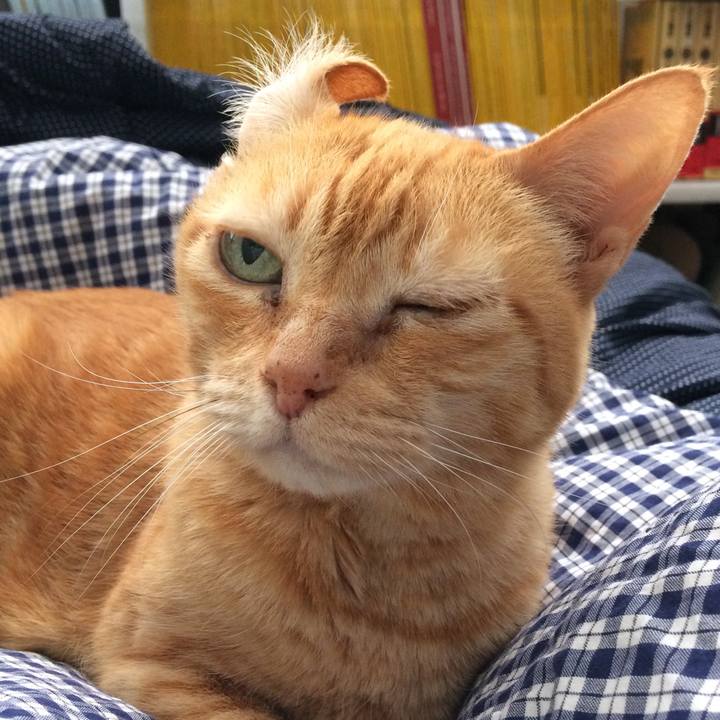 6060ea10 2b63 42f7 9fee 399c4dc5e39f 1512308208264