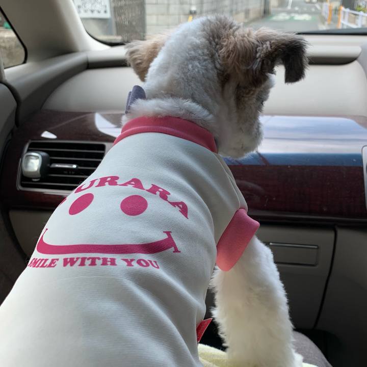 6060eadc cda2 4a09 b380 41498d9328e8 1559968514053