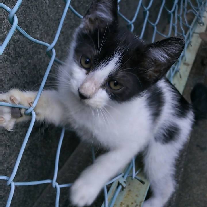 6061083a 91e7 413b 9946 9cf90264cbb7 1556099285528