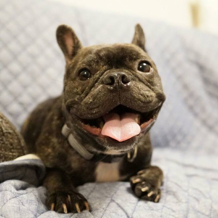 60612642 4ef0 400c 8cdf 6fb6e7cd0d23 1538476782083