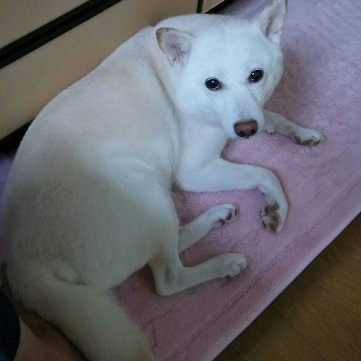 606150d5 1977 41ef ba12 eb5efebd94b7 1567474419083