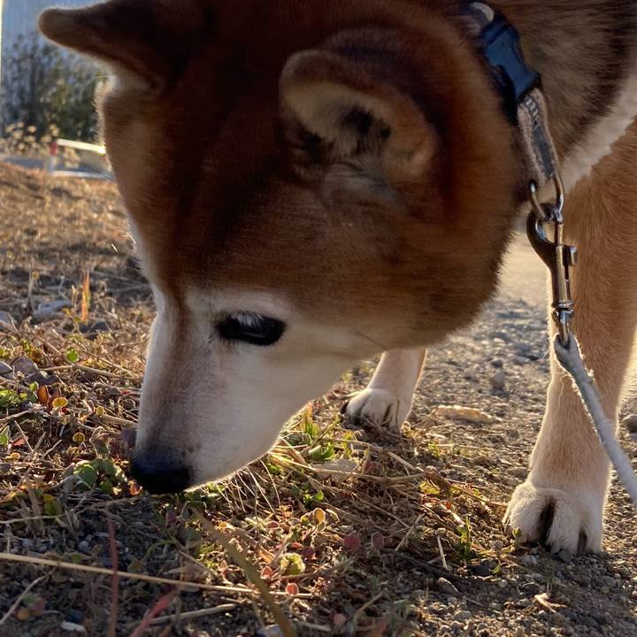 606159a4 8ed6 4cec bc6e d0b3bc8cf1fe 1739433258356