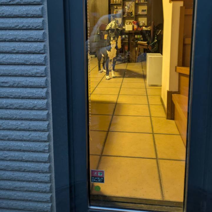 60616c4d 92e2 425f bdac 5f424ea10461 1737631017086