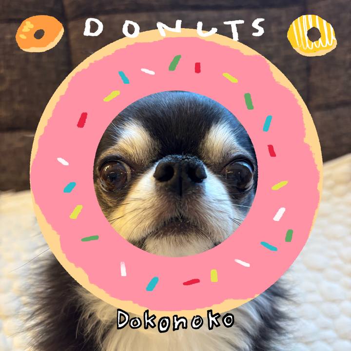 6061cd4a fd9a 46d0 abe3 1e7cd15952b9 1744412781374