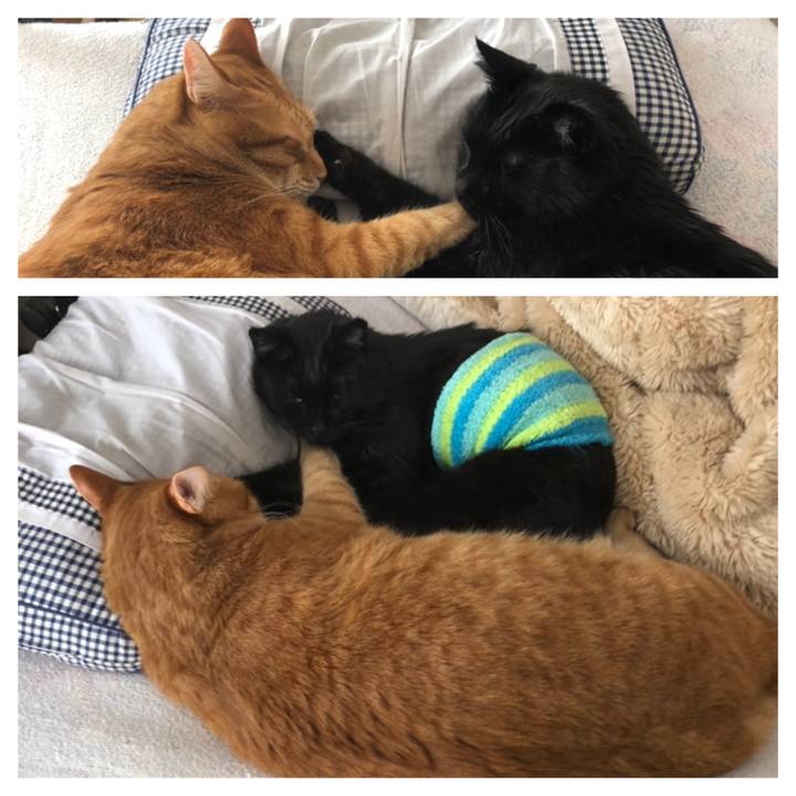 6061e2cd 7887 4975 9a02 d360690ff194 1609306105531