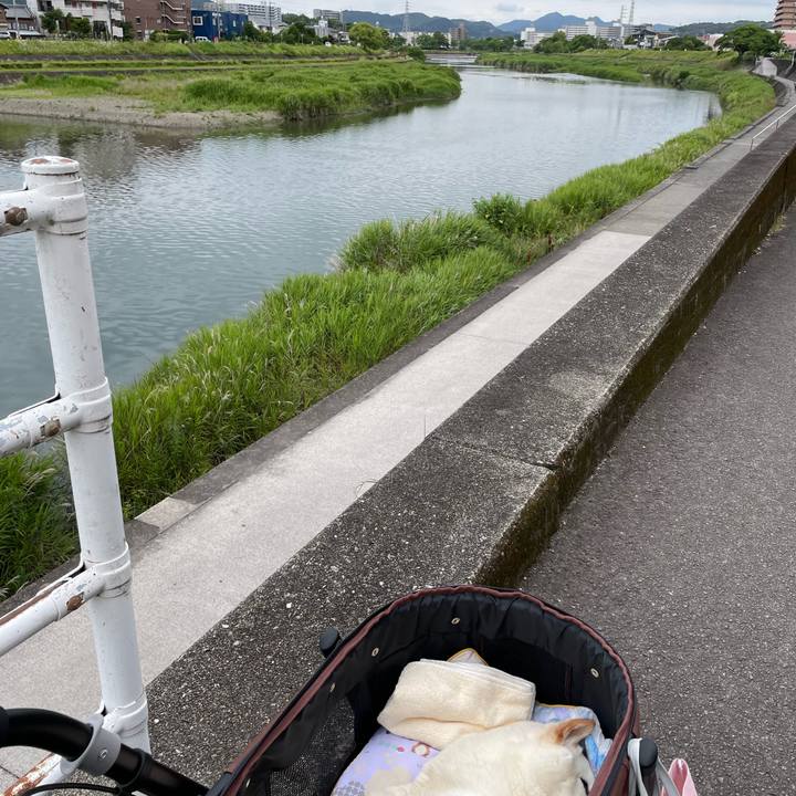 60621cc0 84e1 4700 8100 b4a1c9c000fe 1654876686793