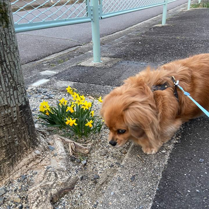 6062238b 7d11 4f87 b65e 1a7f59c9d0c1 1615758002314