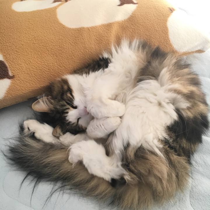 60624ac8 0c8e 4003 8cac 4f9240ddef82 1516107403241