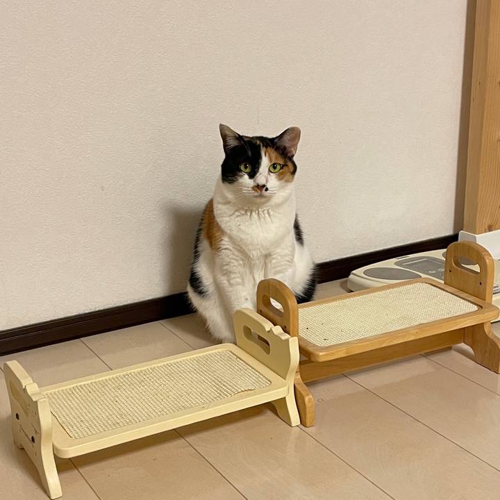 60625446 3605 48bb b522 be96f2f54c64 1624628227225