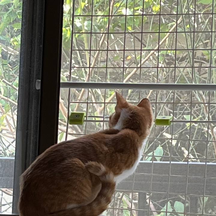 6062552d b961 45ee 8eec 110b91b45296 1635739719806