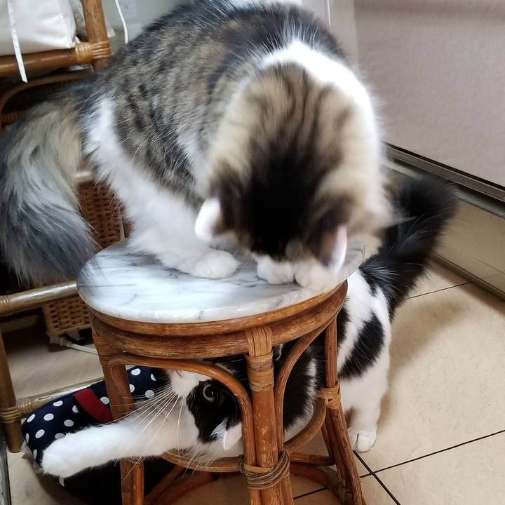 60626708 7c4e 4f89 8616 3ca2d74294ca 1571960899288