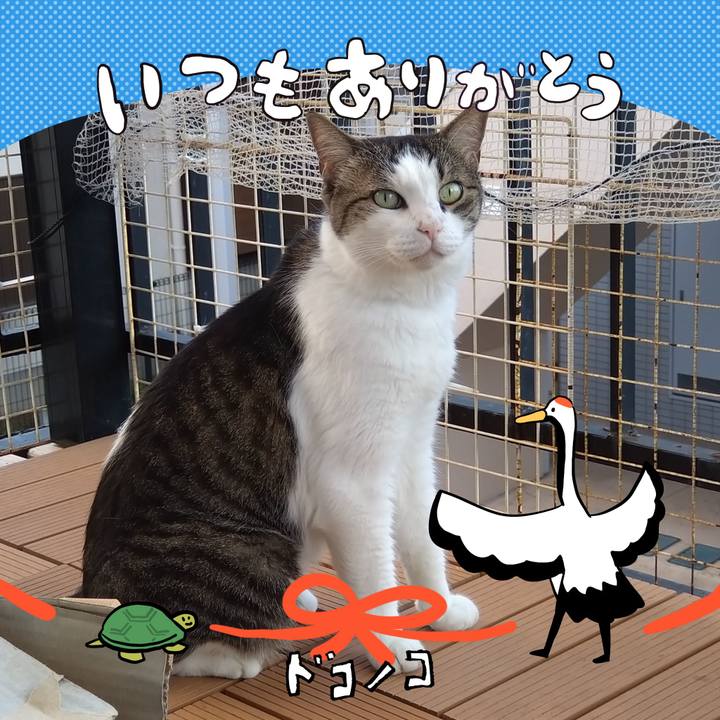 60626d07 1bcc 4078 91cf 447234d4d2b3 1726893822477
