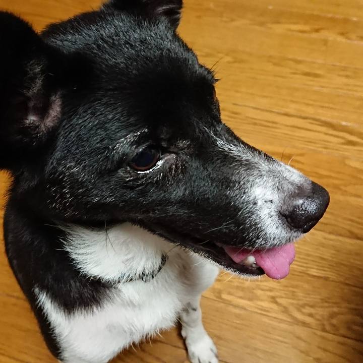 60626ee8 b6ae 43db acc9 448218c050e8 1507902550790