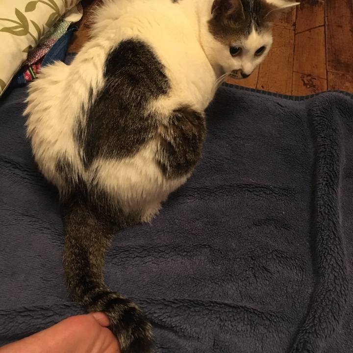 60629a06 b160 4cf0 a885 e024249c8db1 1556635606386