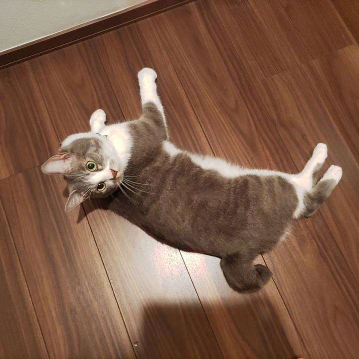 6062ba14 26dc 455d b36a 724c67fa982b 1689083224012