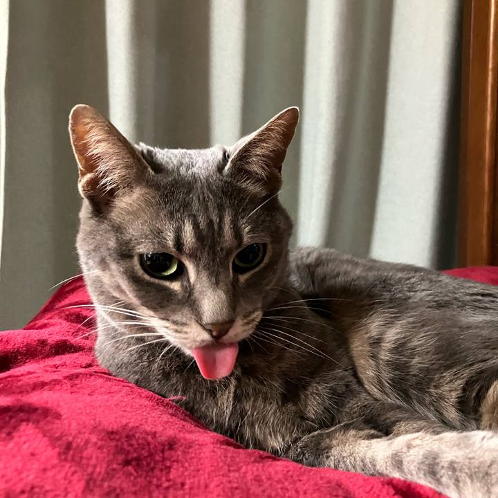 6062c809 c32a 4ff6 a16c 16013a244ff3 1745245396507