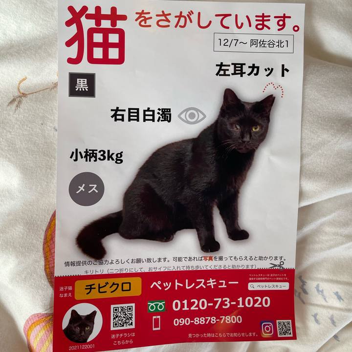 6062d64f 52ef 4dea b7fb 66207971d0cc 1641299751257