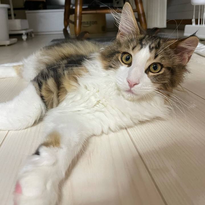 6062e79f 14e8 45e8 ab80 b7df5167e70e 1636103443248