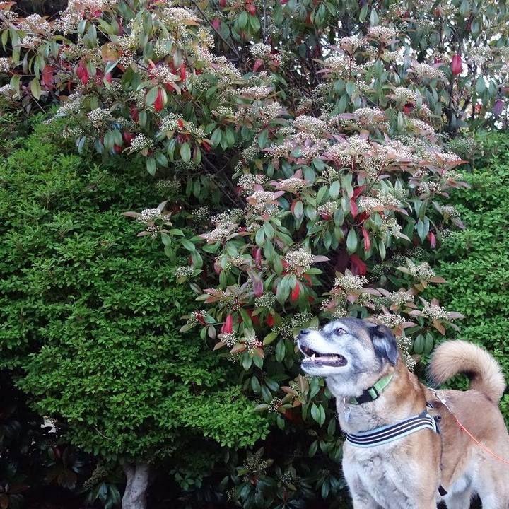 60632099 6b1c 4624 a448 6f4c0df98ea3 1524309367547