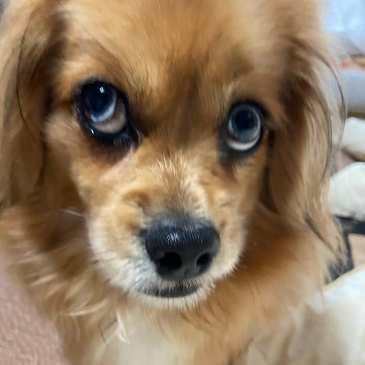 606332da 74b1 46d0 a692 21e226904ba4 1587172312127