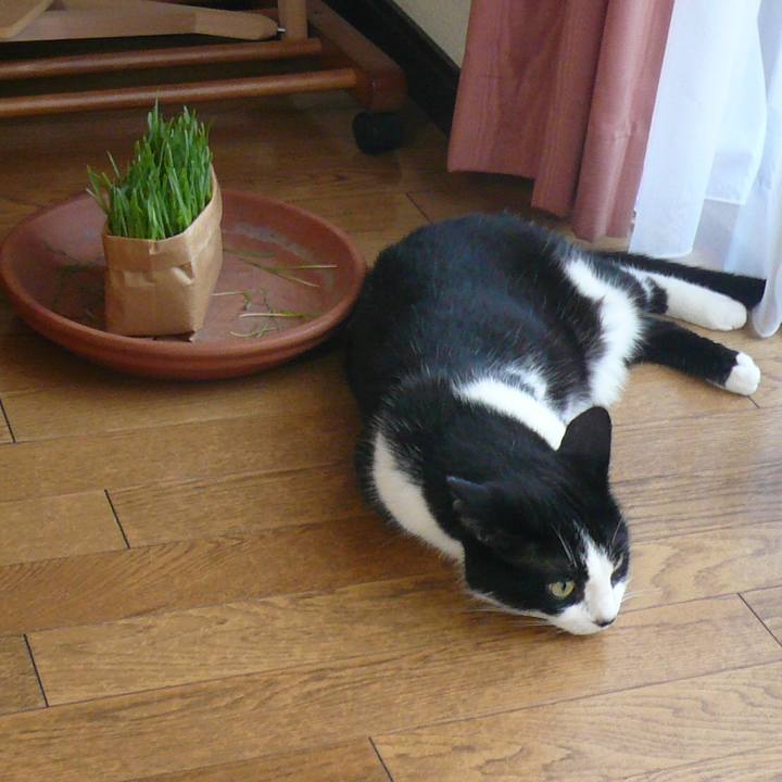 6063351a ff5f 4195 ac2d 87ace573de12 1528632011282