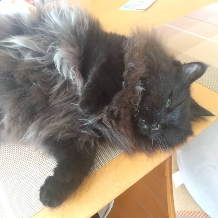 606348db e1ea 45a4 be5c 44063cd20e1a 1692595717480