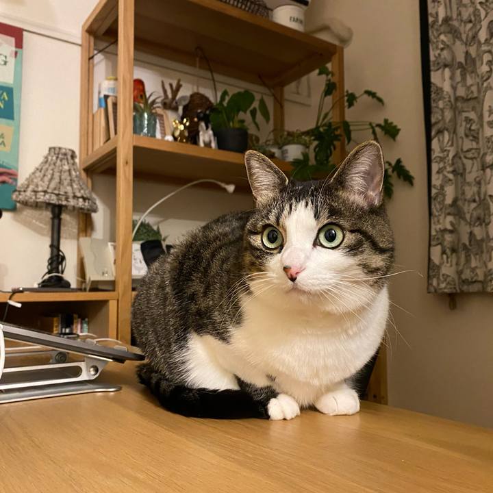 60635e32 39d0 48ac abc3 ac35caa44f29 1644664282428