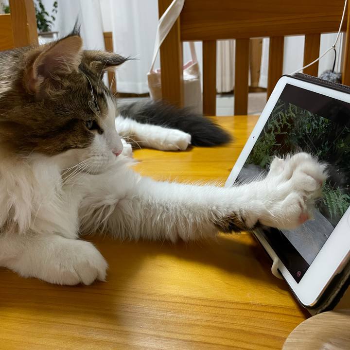 606375cd 4a49 49b1 9944 62cd1734220b 1639905770704