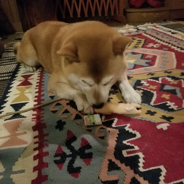 6063a430 d7f0 440f 8e06 5040c057e354 1569234468309