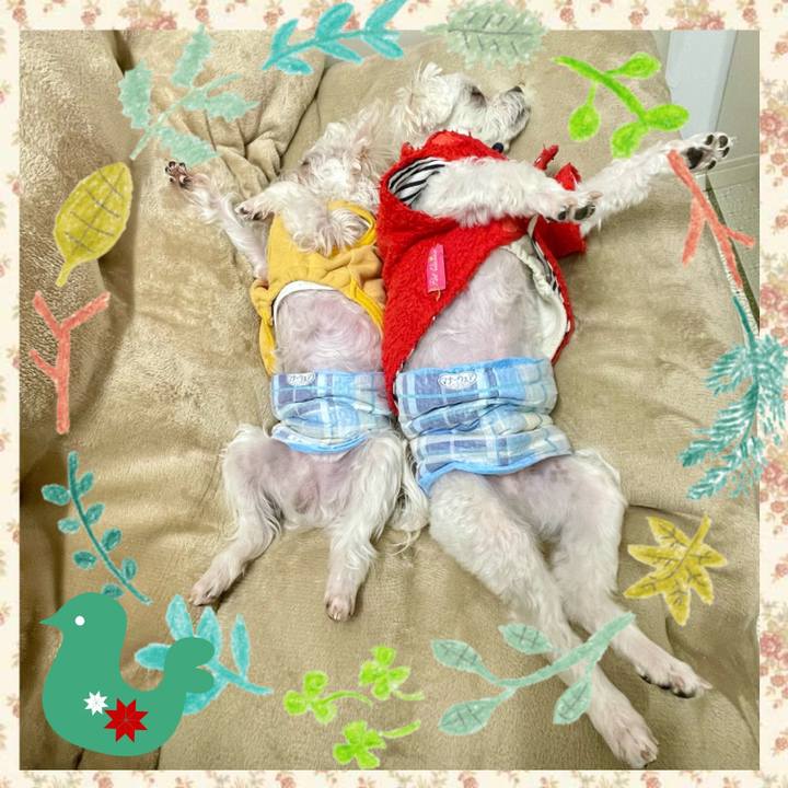 6063be75 034e 4cdd 9d93 a8db6b0a9a5a 1639107279367