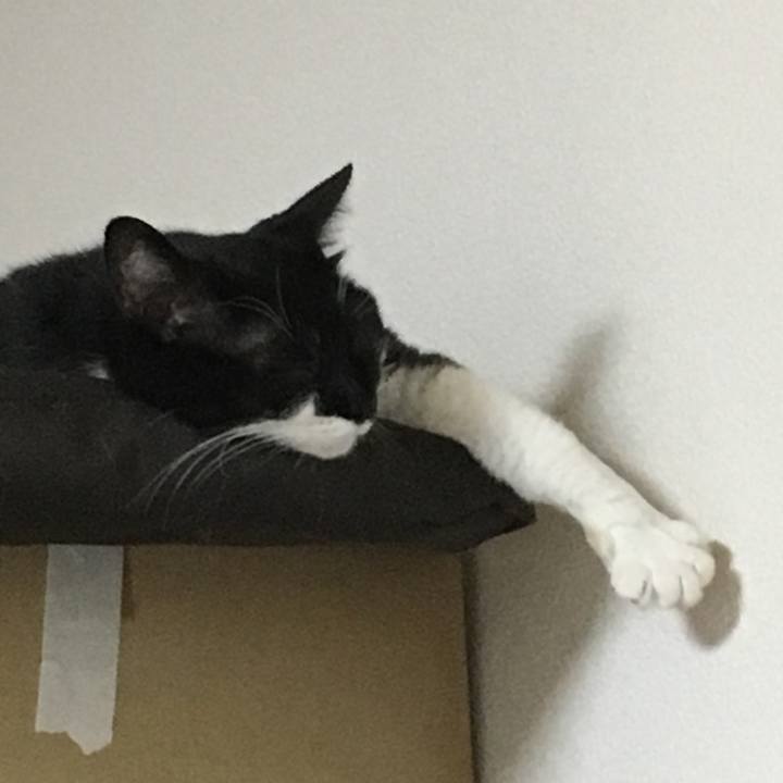 6063d128 369e 4671 a6e3 3e0d2fa6e8f8 1564454822740