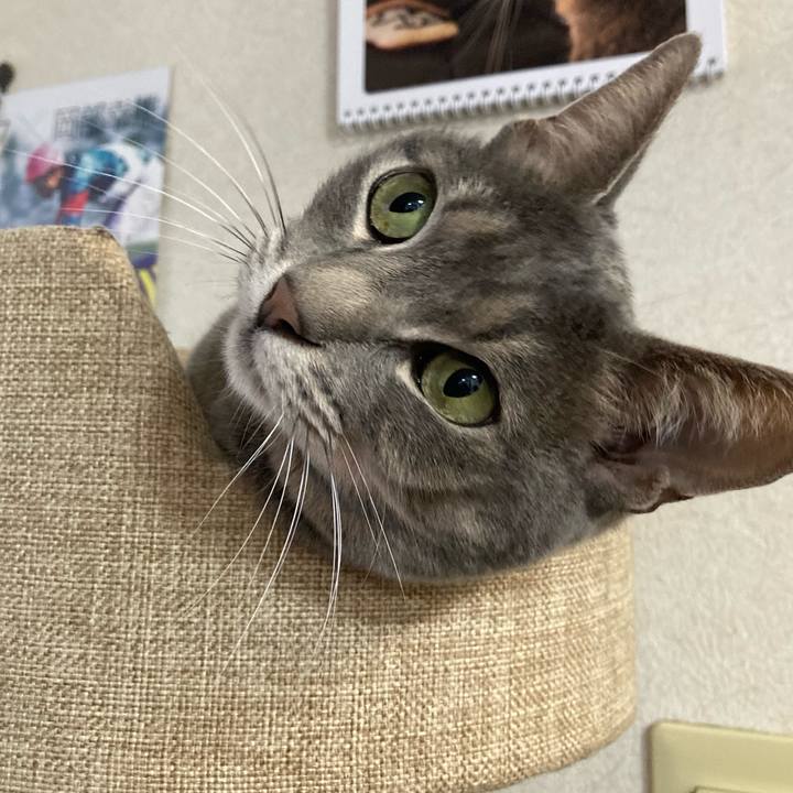 6063f1e2 2687 4674 ab4d b89fc4545ac7 1672640836695