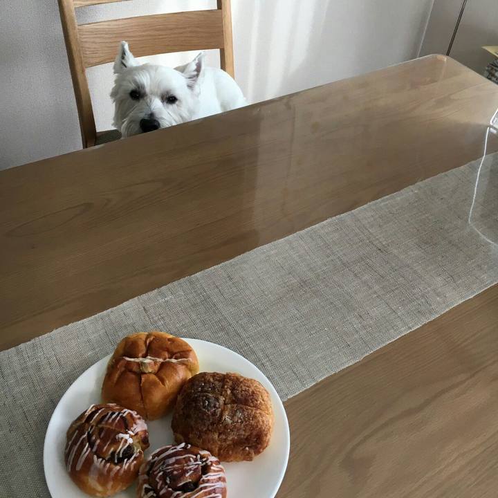 60647683 8bee 4e27 b272 4fbc7af52832 1509709652114