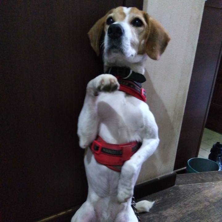 6064dd5b 6577 455b b220 061fcd94fc8e 1708773537330