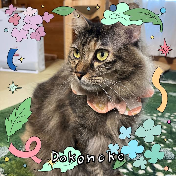 60651164 c36c 4eec ba14 06bef979ce30 1717721835636